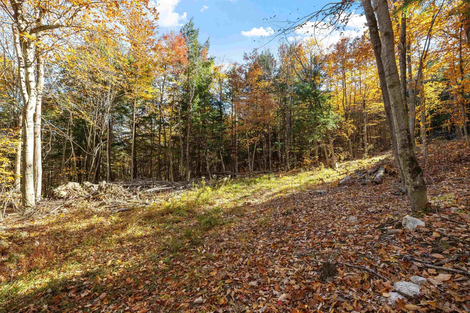 11/13/A/0 High Point Drive Alton NH 03810
