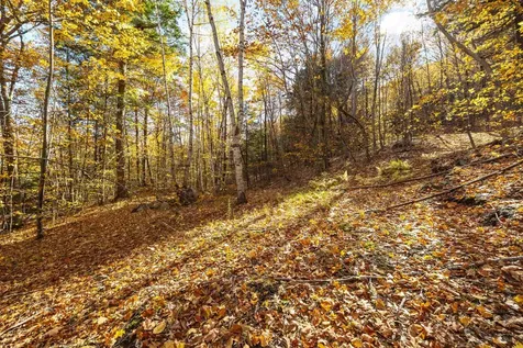 11/13/A/0 High Point Drive Alton NH 03810