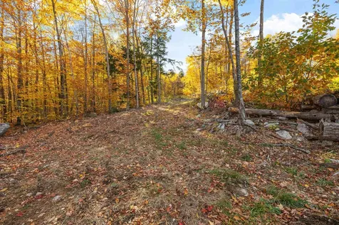 11/13/A/0 High Point Drive Alton NH 03810