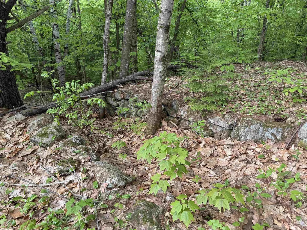 67 Old Pound Road Effingham NH 03882