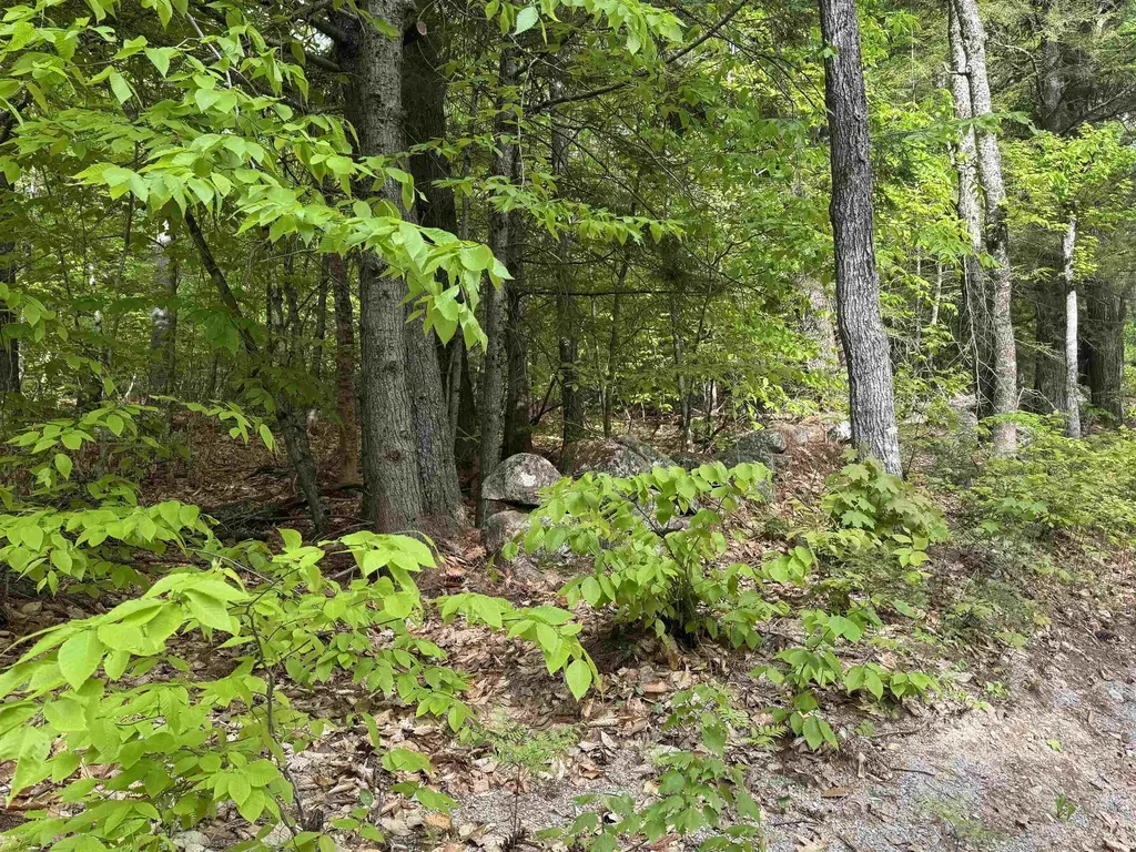 67 Old Pound Road Effingham NH 03882