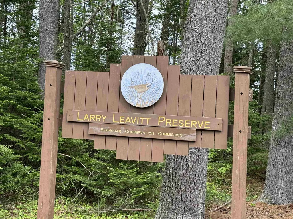 67 Old Pound Road Effingham NH 03882