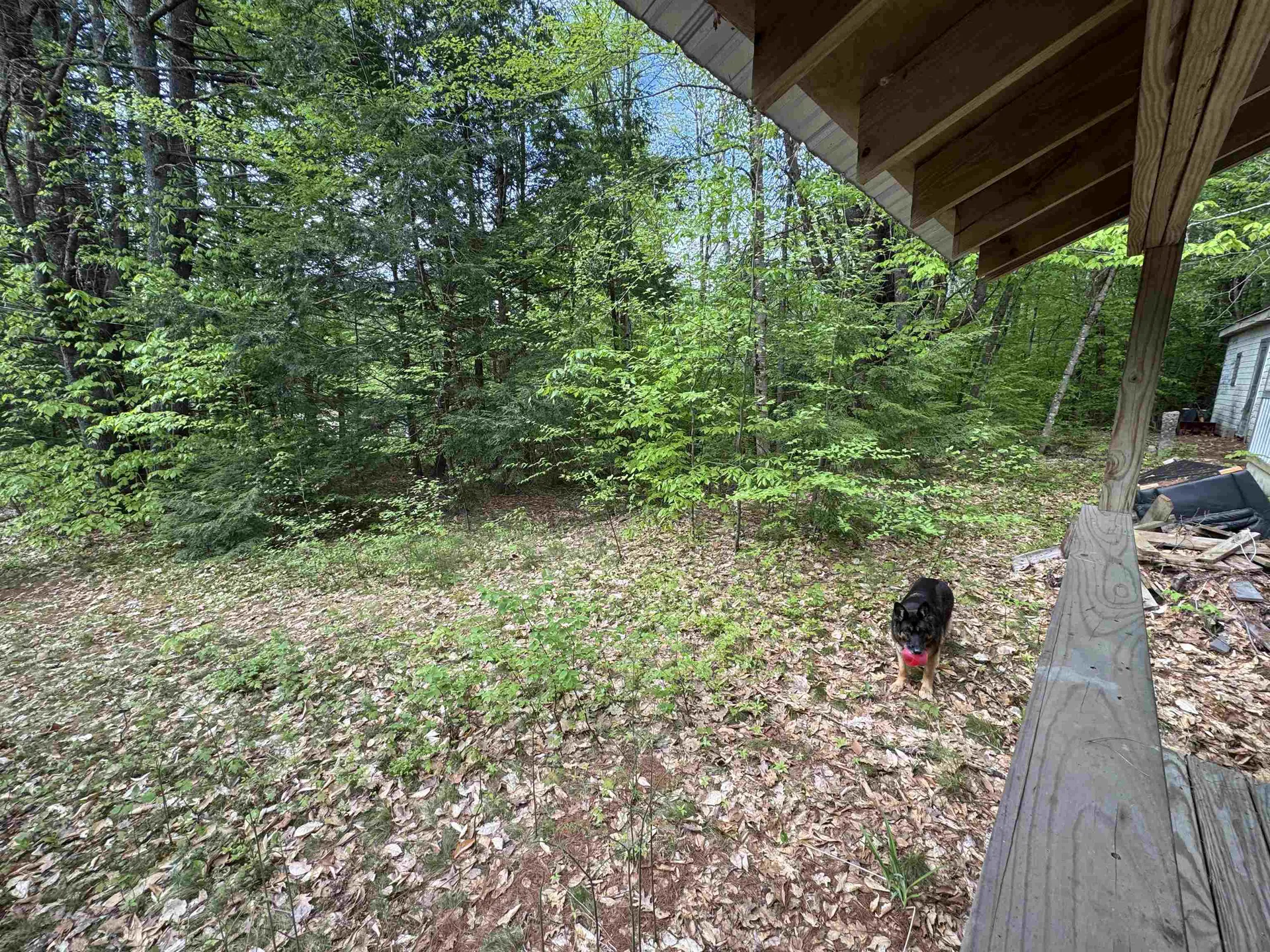67 Old Pound Road Effingham NH 03882