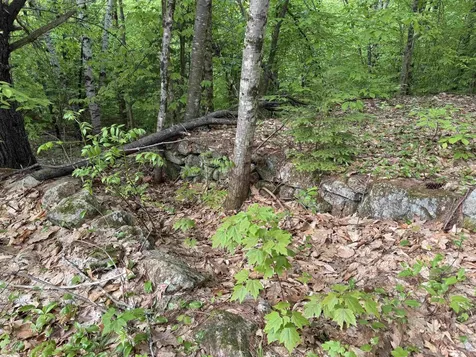 67 Old Pound Road Effingham NH 03882