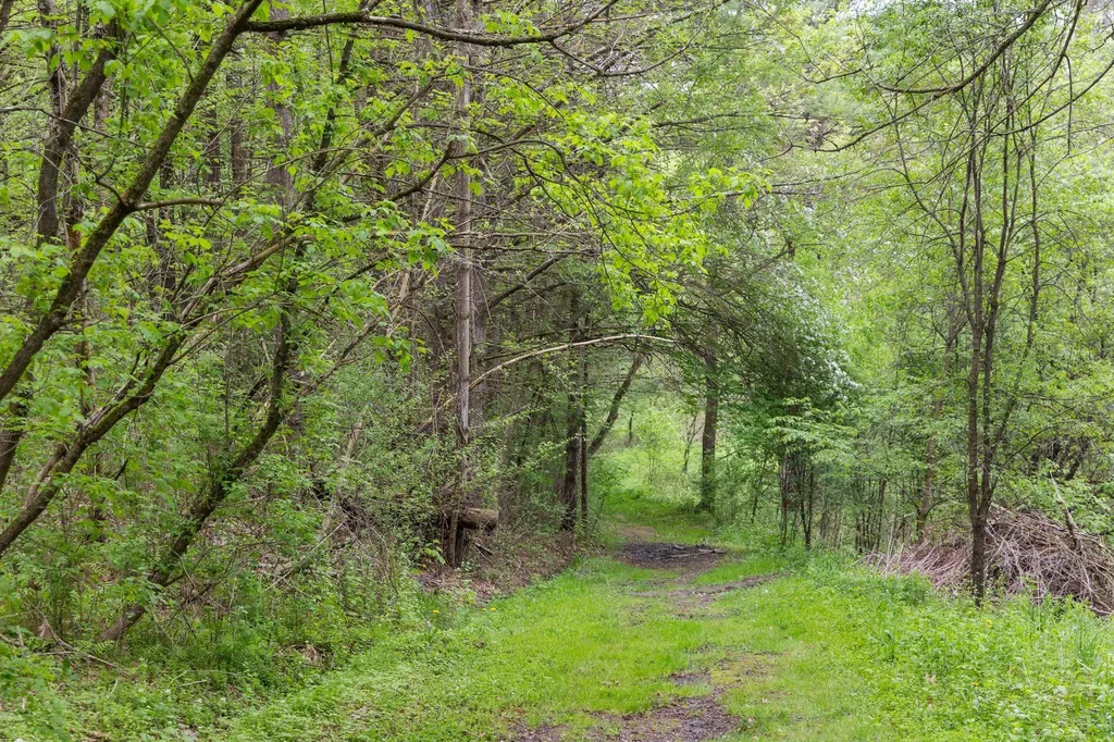 20 Greenfield Road Essex Junction VT 05452