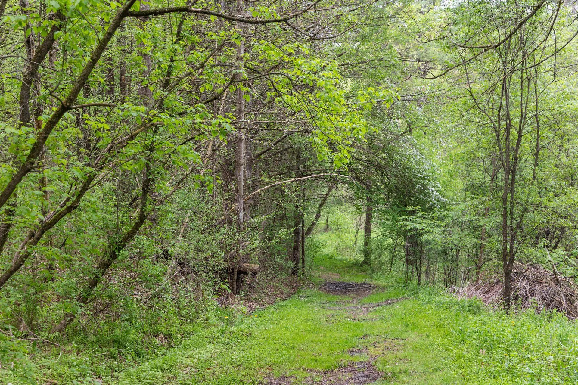 20 Greenfield Road Essex Junction VT 05452