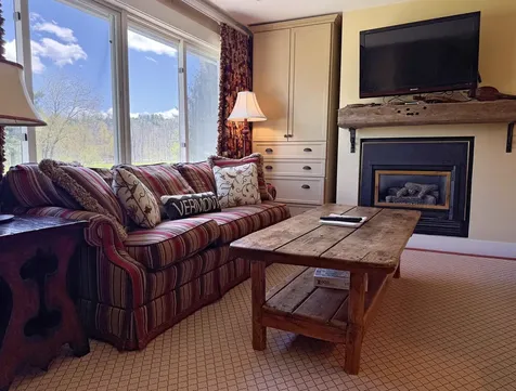 240 Village Green #14E Drive Stowe VT 05672