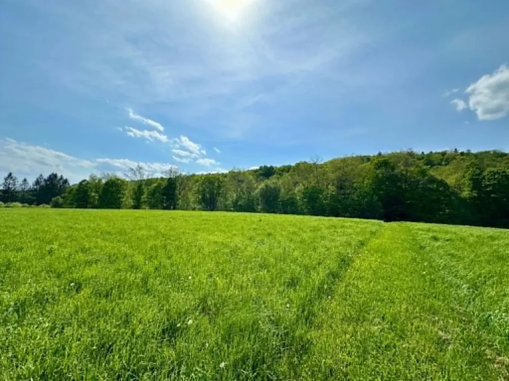 Lot A Sweet Pond Road Guilford VT 05301