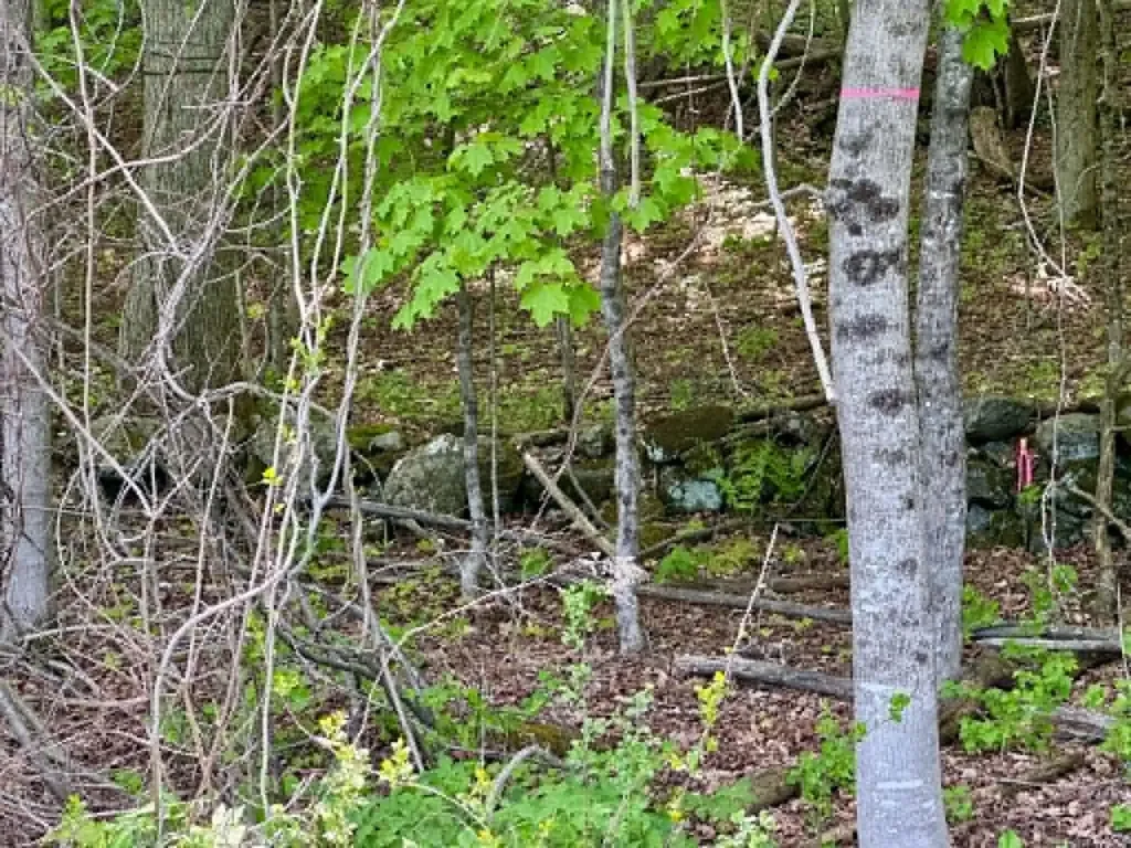Lot A Sweet Pond Road Guilford VT 05301