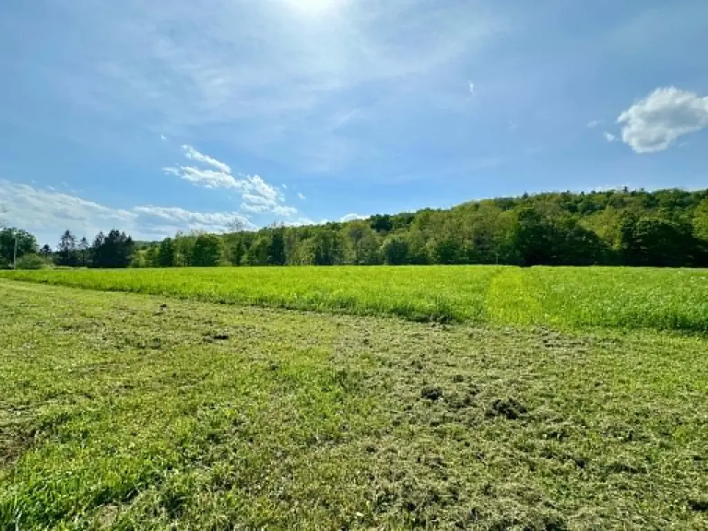 Lot A Sweet Pond Road Guilford VT 05301
