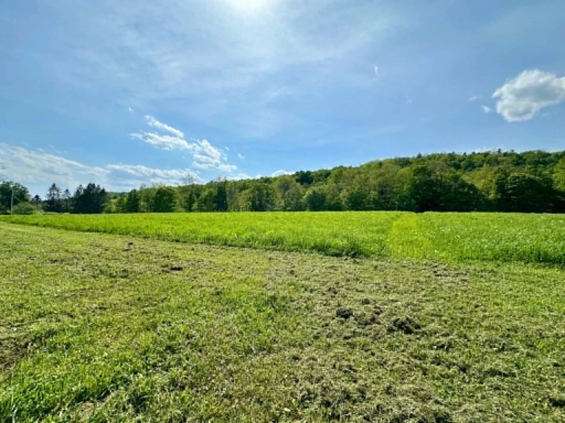 Lot A Sweet Pond Road Guilford VT 05301
