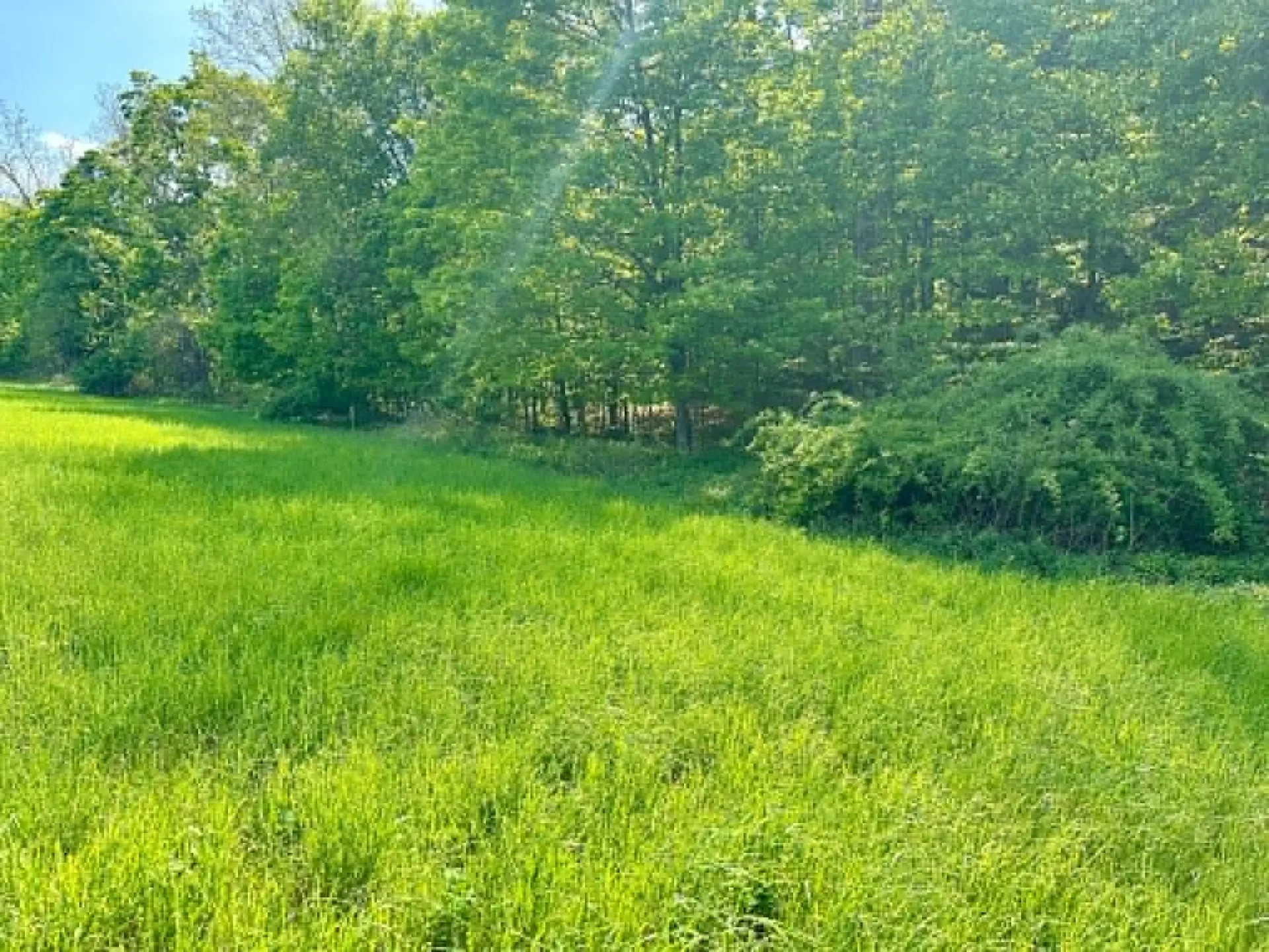 Lot A Sweet Pond Road Guilford VT 05301