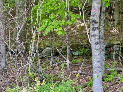 Lot A Sweet Pond Road Guilford VT 05301