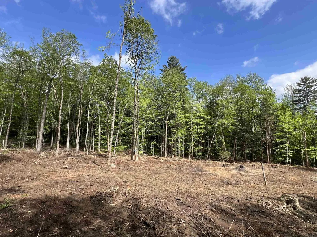 170 Maple Drive Wardsboro VT 05355