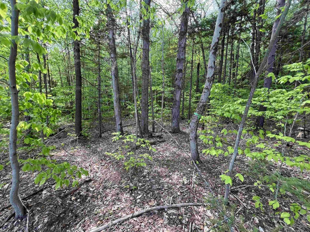 170 Maple Drive Wardsboro VT 05355