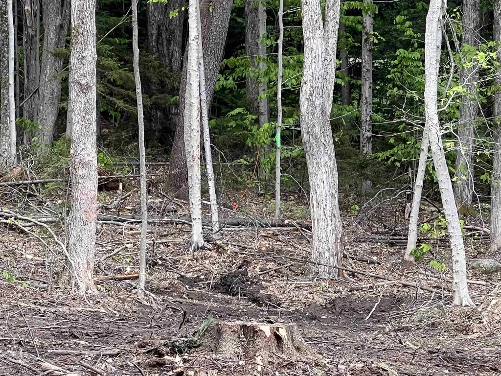 170 Maple Drive Wardsboro VT 05355