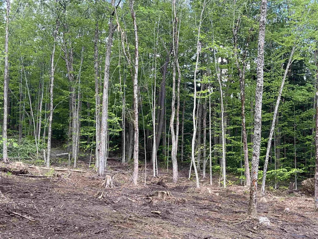 170 Maple Drive Wardsboro VT 05355