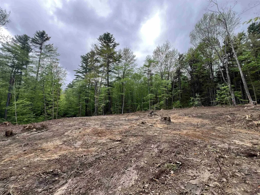 170 Maple Drive Wardsboro VT 05355