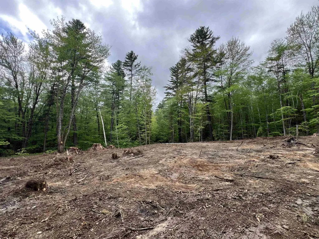 170 Maple Drive Wardsboro VT 05355