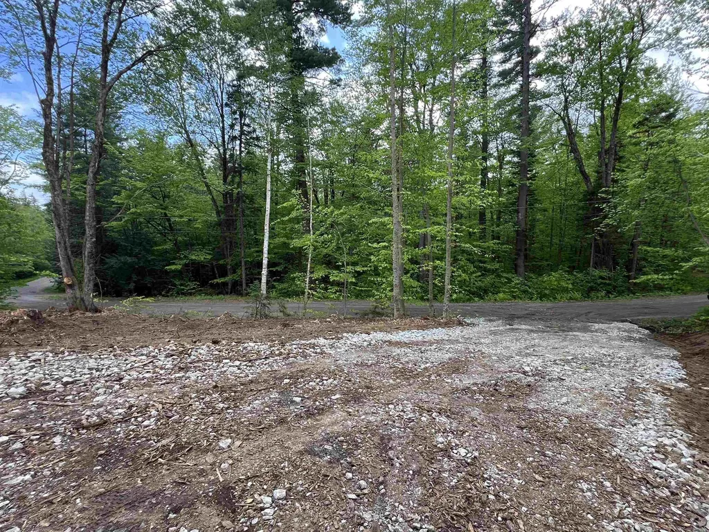 170 Maple Drive Wardsboro VT 05355