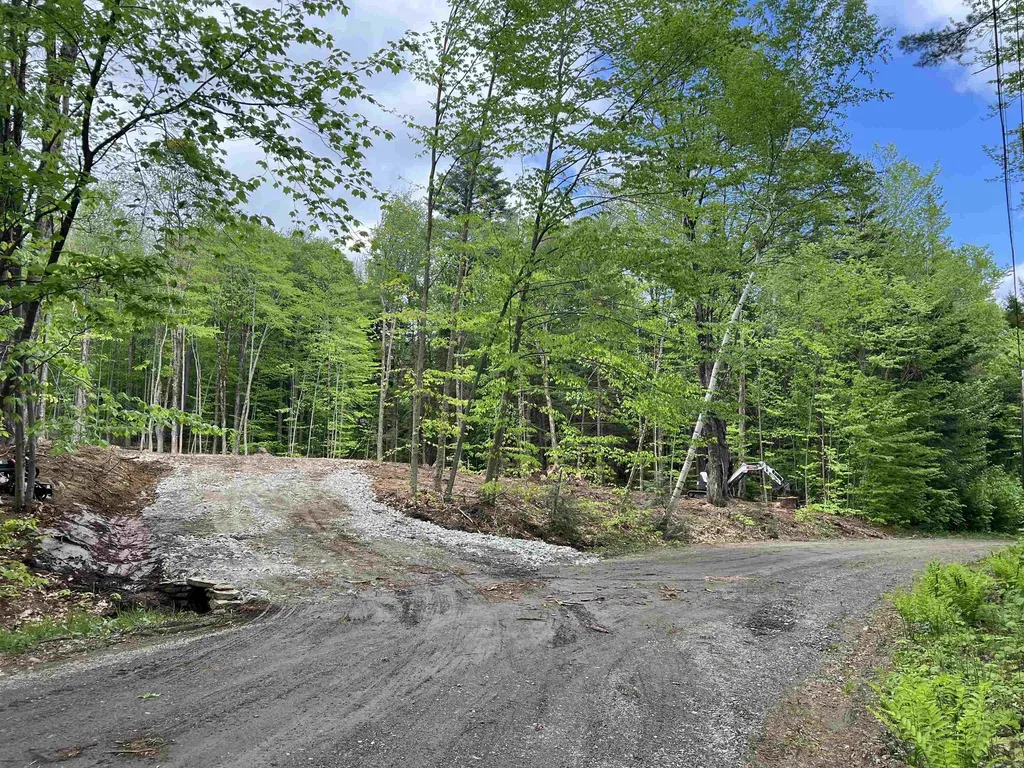 170 Maple Drive Wardsboro VT 05355