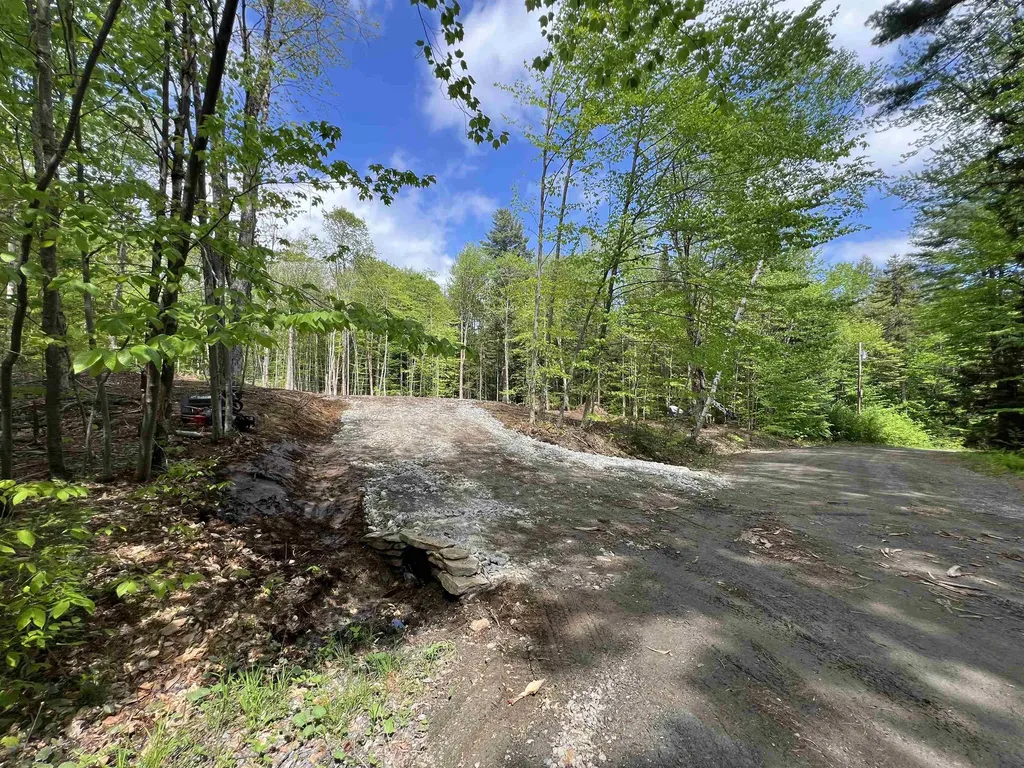 170 Maple Drive Wardsboro VT 05355