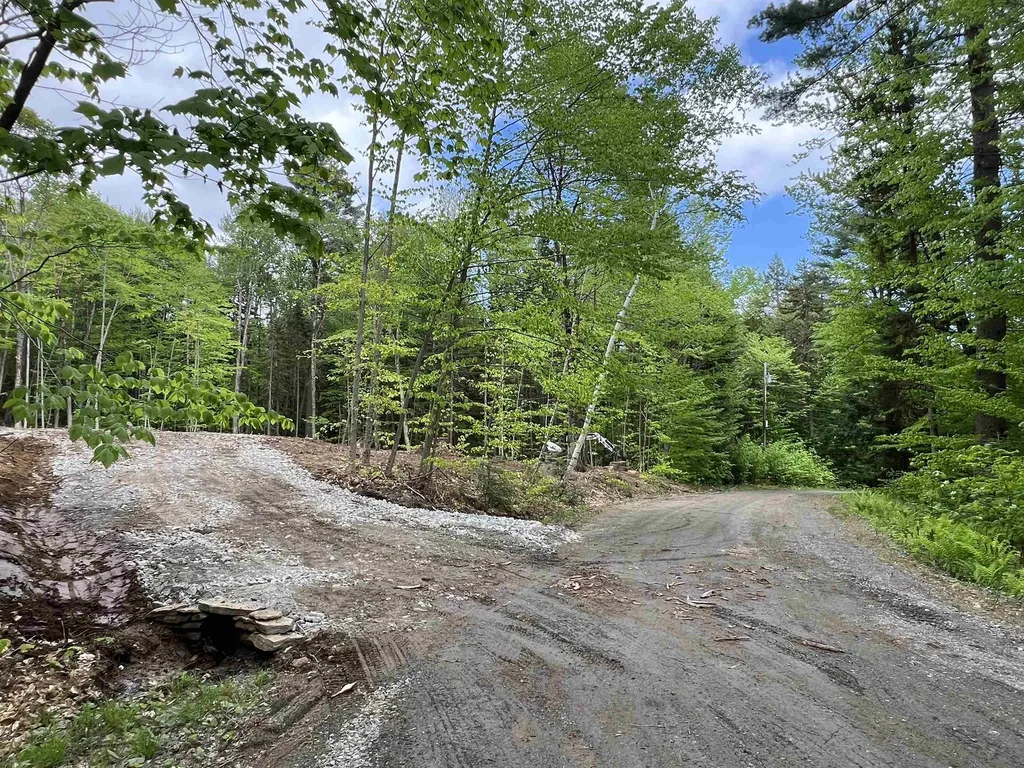 170 Maple Drive Wardsboro VT 05355