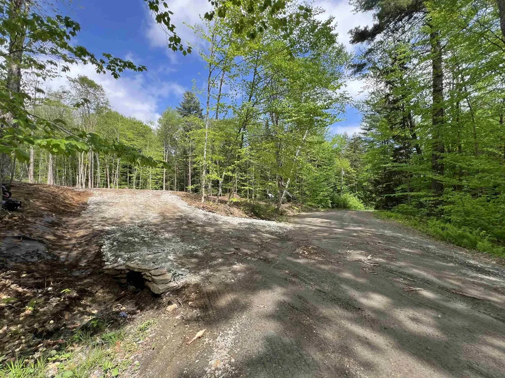 170 Maple Drive Wardsboro VT 05355