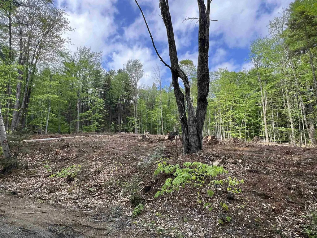 170 Maple Drive Wardsboro VT 05355