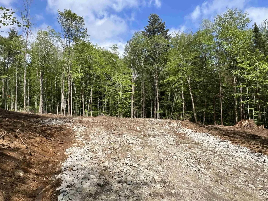 170 Maple Drive Wardsboro VT 05355