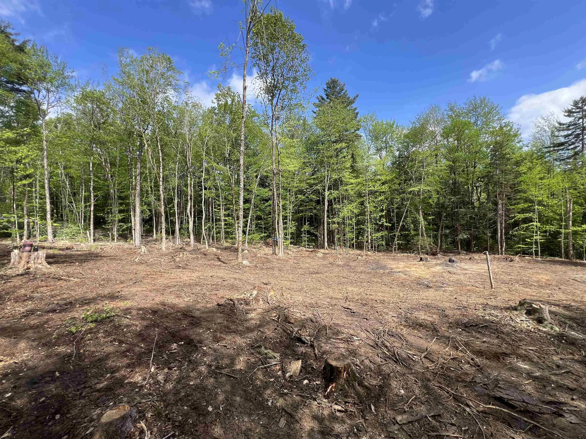 170 Maple Drive Wardsboro VT 05355