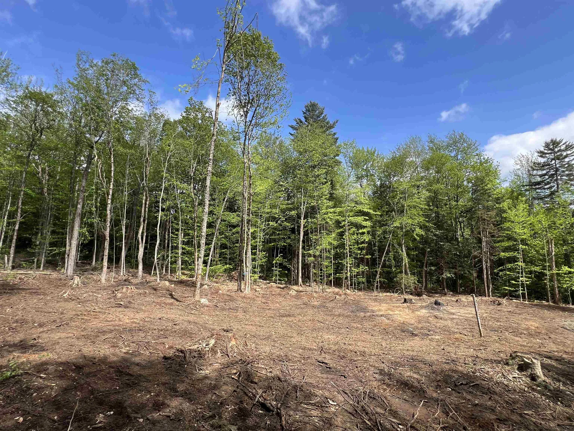 170 Maple Drive Wardsboro VT 05355
