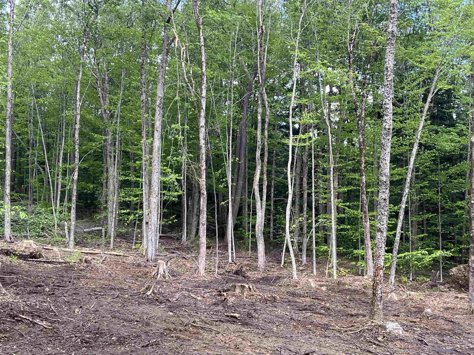 170 Maple Drive Wardsboro VT 05355