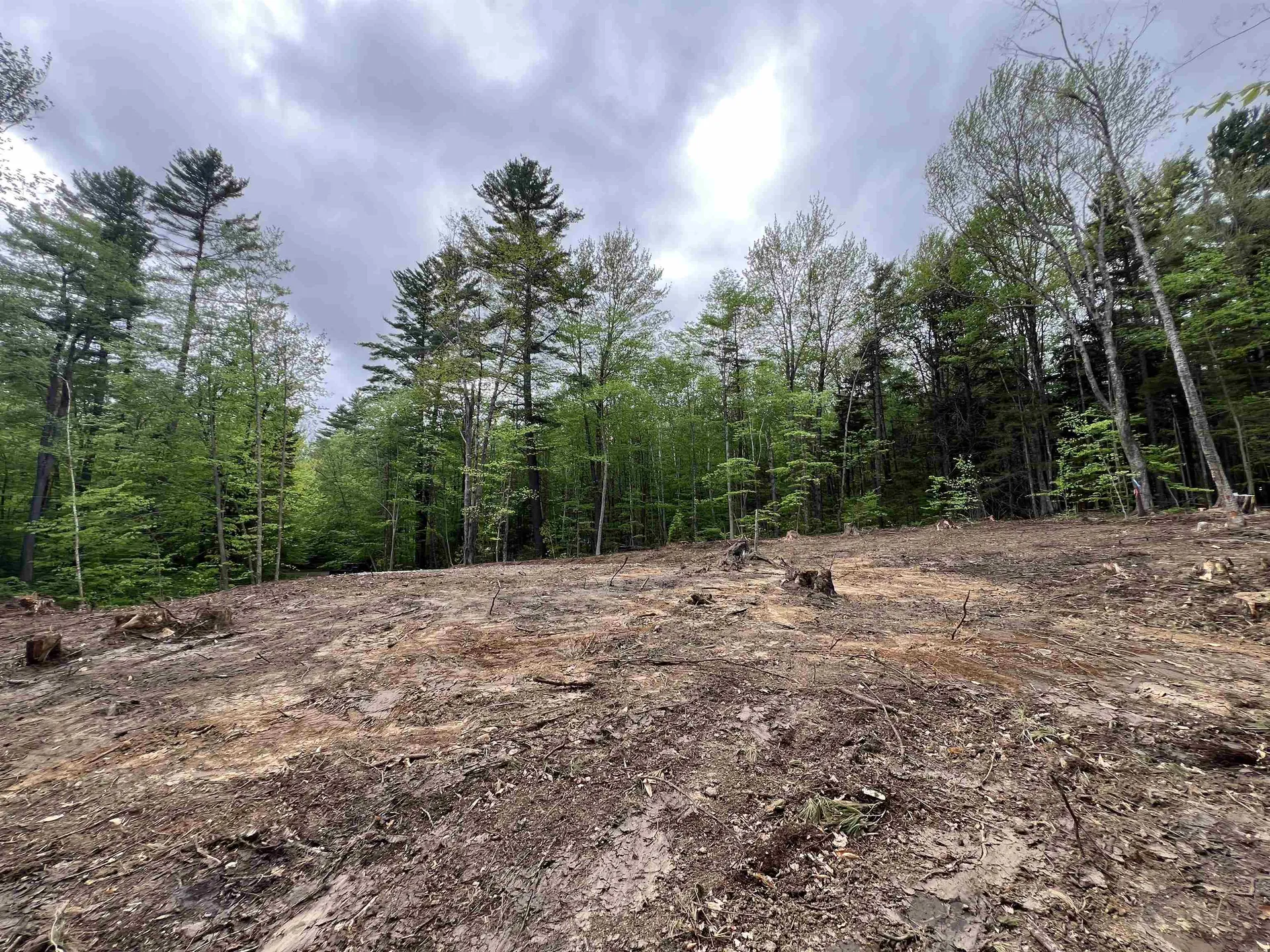 170 Maple Drive Wardsboro VT 05355