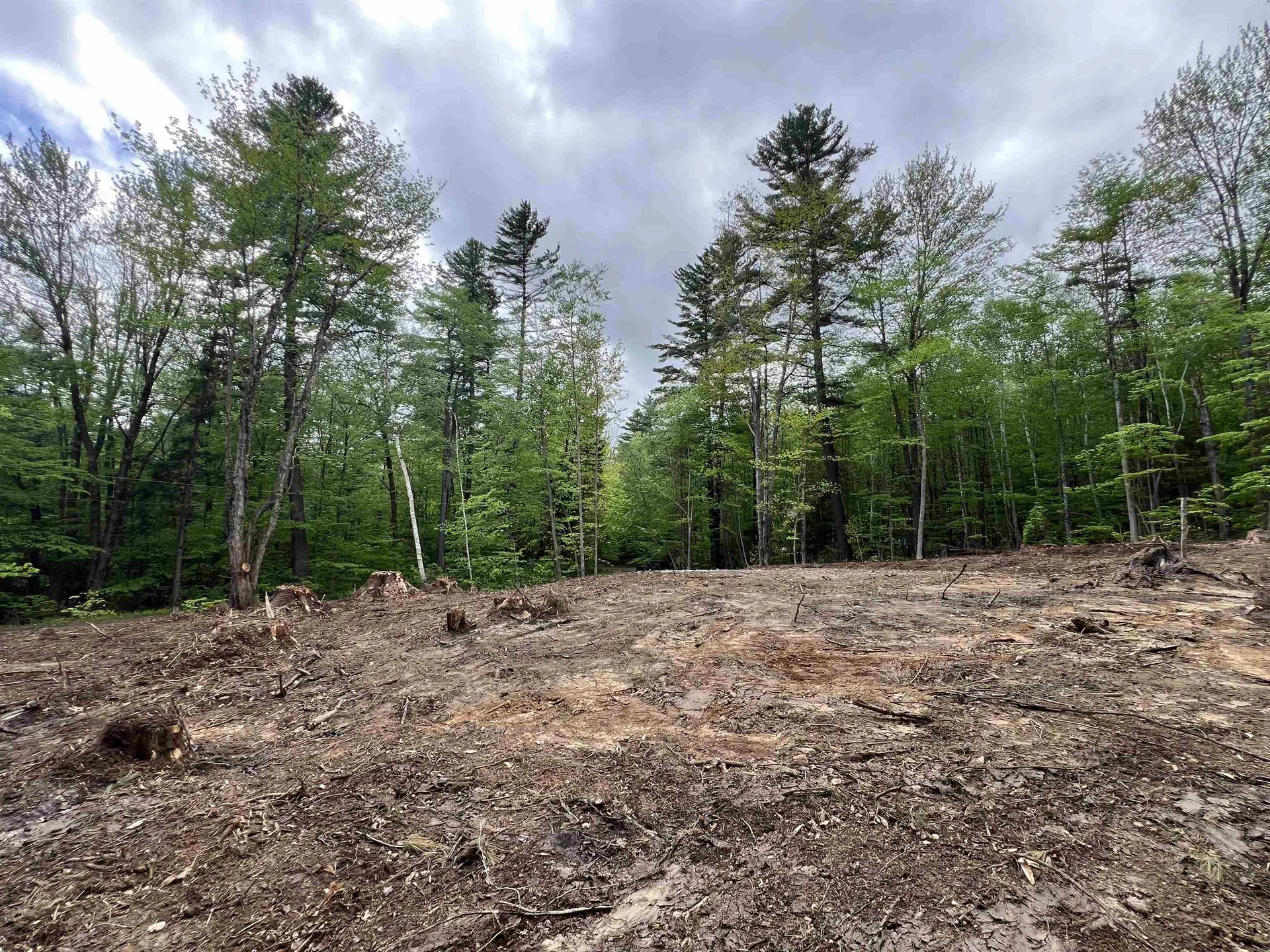 170 Maple Drive Wardsboro VT 05355