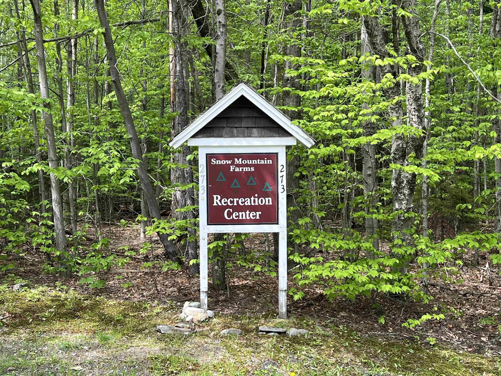 170 Maple Drive Wardsboro VT 05355