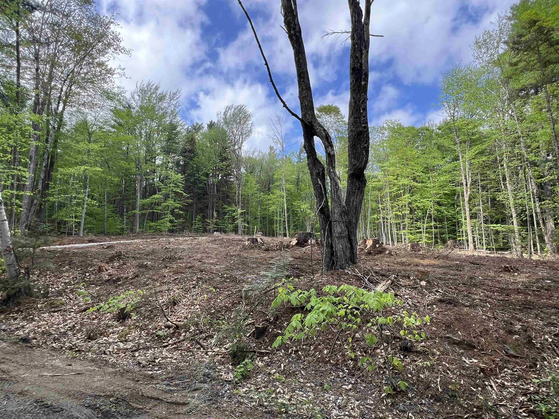 170 Maple Drive Wardsboro VT 05355