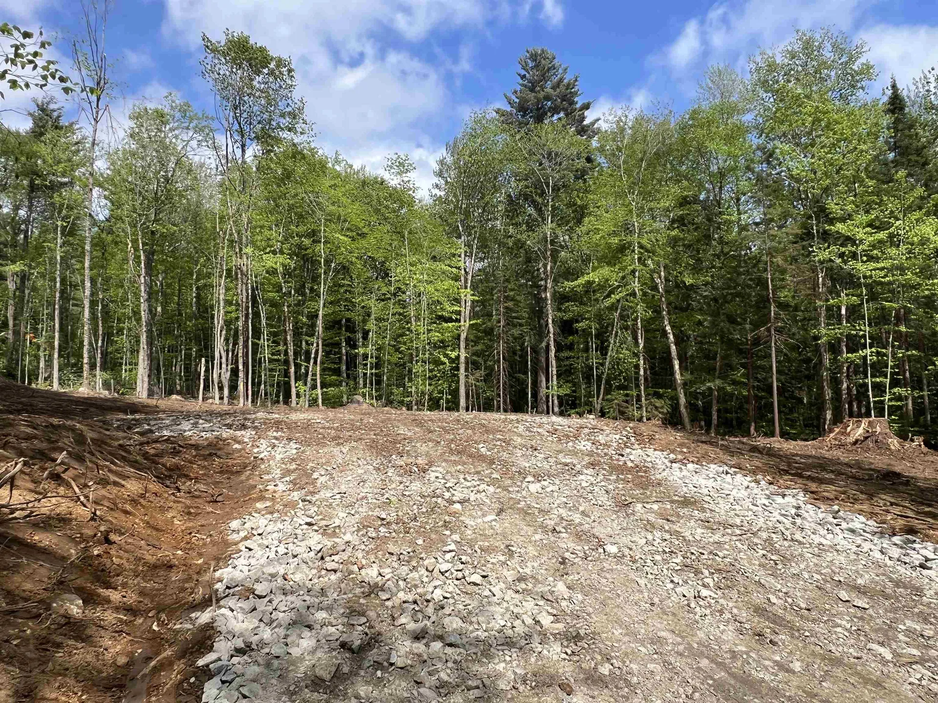 170 Maple Drive Wardsboro VT 05355