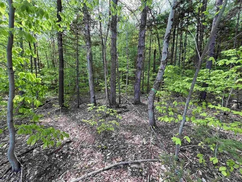 170 Maple Drive Wardsboro VT 05355