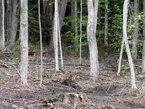 170 Maple Drive Wardsboro VT 05355