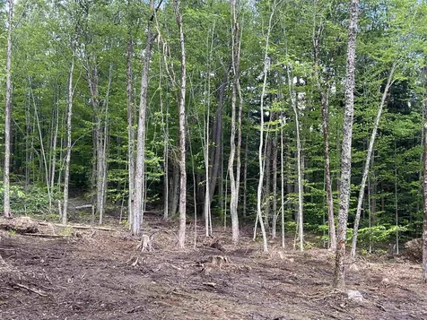 170 Maple Drive Wardsboro VT 05355