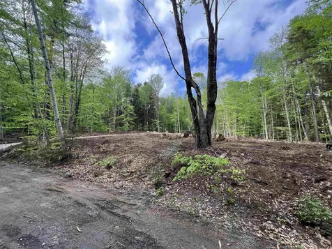170 Maple Drive Wardsboro VT 05355