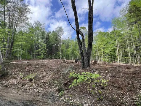 170 Maple Drive Wardsboro VT 05355