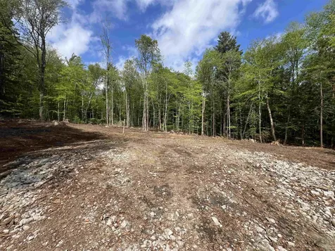 170 Maple Drive Wardsboro VT 05355
