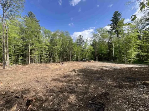 170 Maple Drive Wardsboro VT 05355