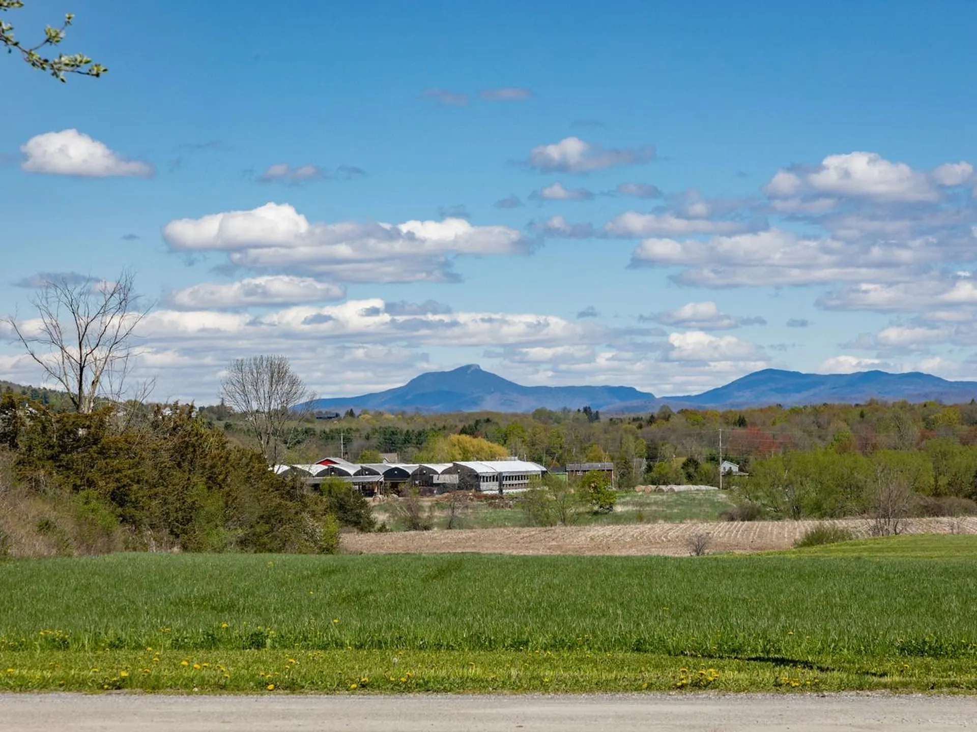 265 Bayview Road Ferrisburgh VT 05473
