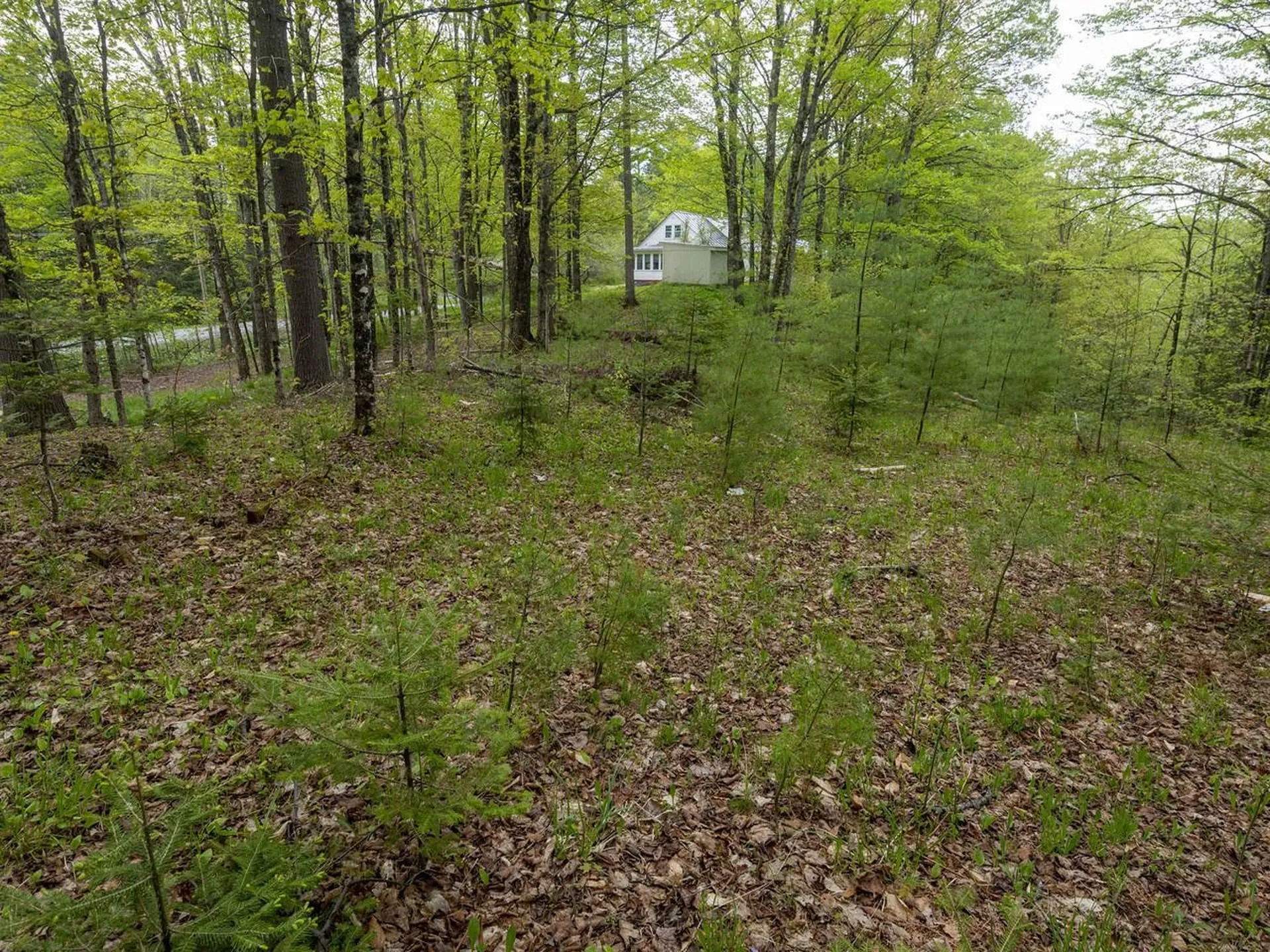 8913 County Road Calais VT 05648
