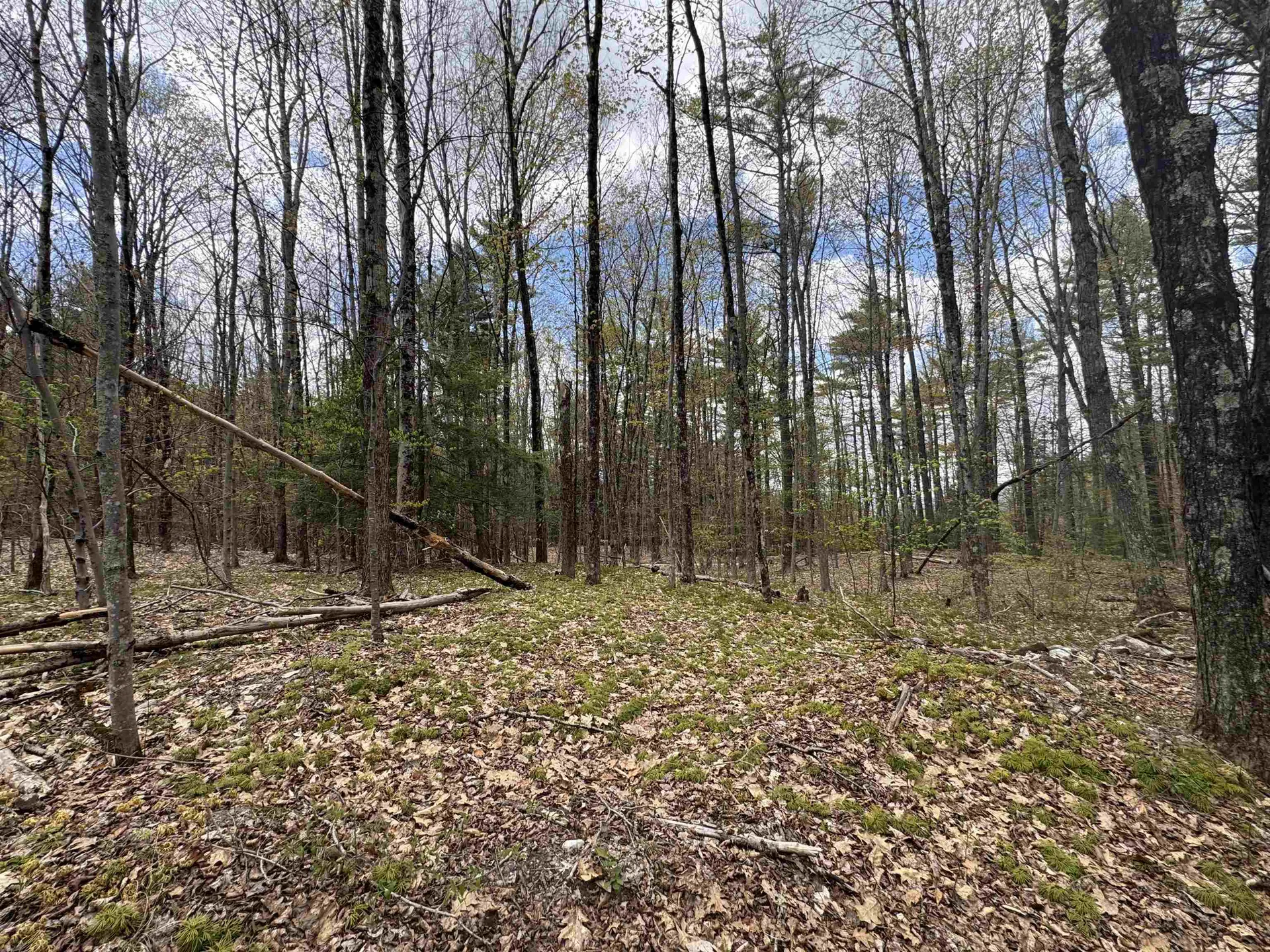 00 Esty Road Westmoreland NH 03467