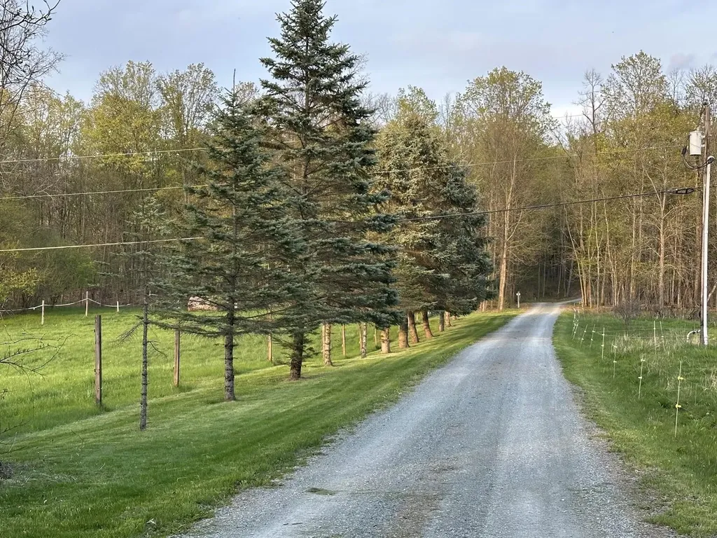 341 Turkey Farm Road Benson VT 05731