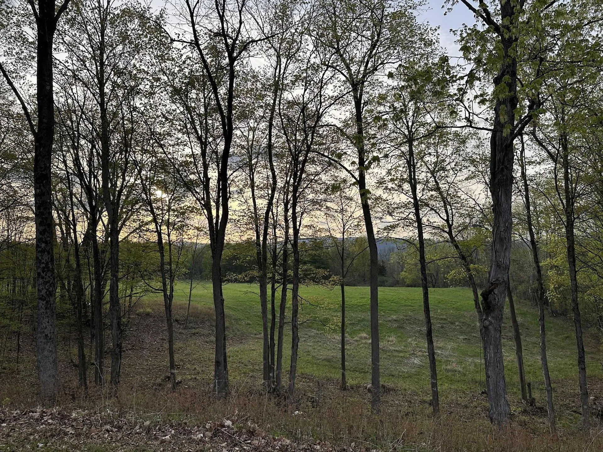 341 Turkey Farm Road Benson VT 05731